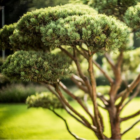 LANDSCHAFTSARCHITEKTUR